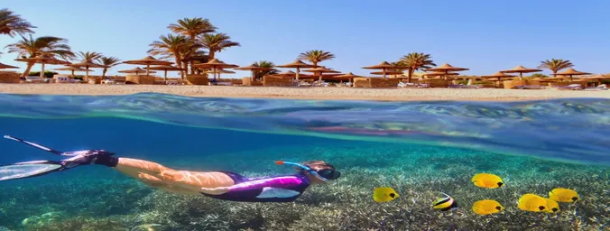 Snorkeling in the Red Sea